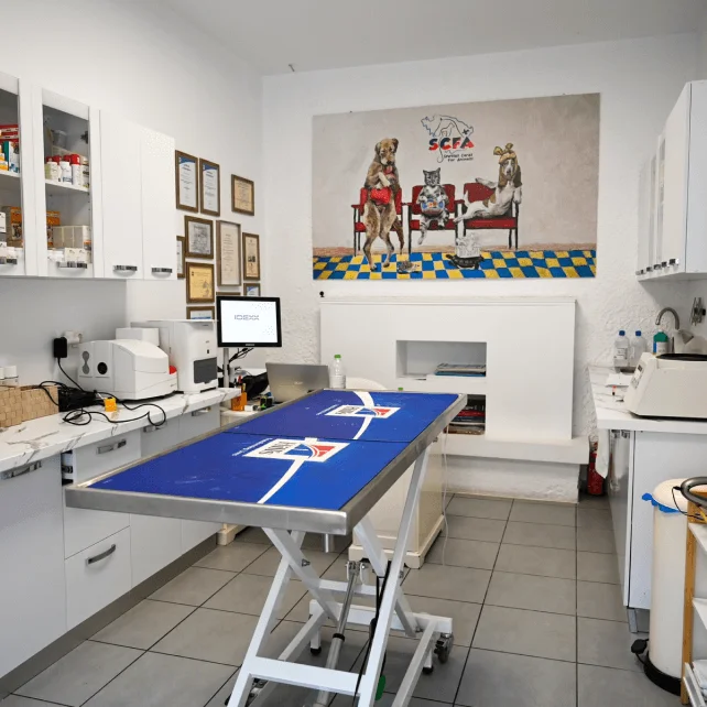 Clinic Photos 4