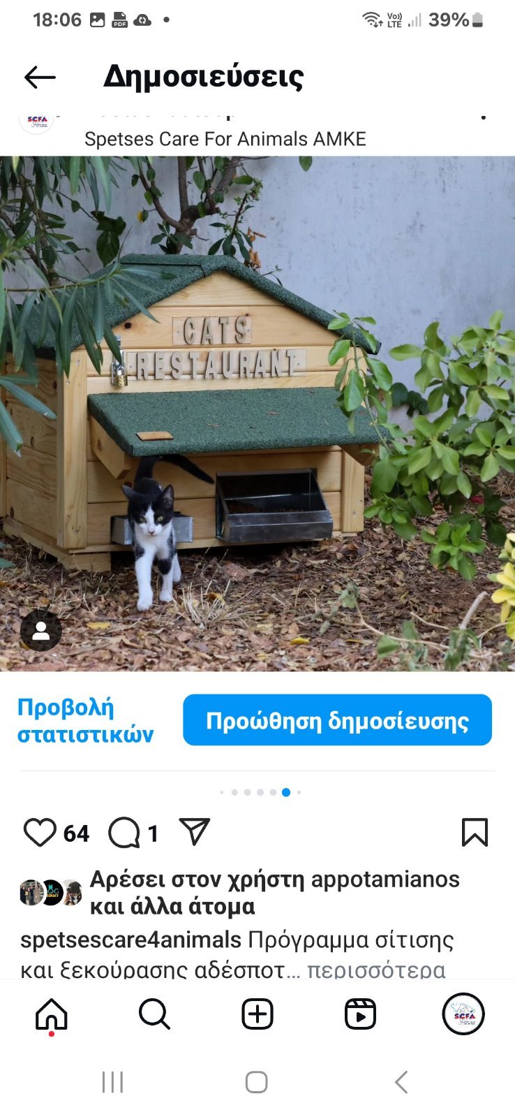 Cat's Hotel & Restaurant 18